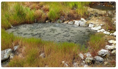 Varme søer kan indeholde ekstremofile bakterier som hyperthermofile.