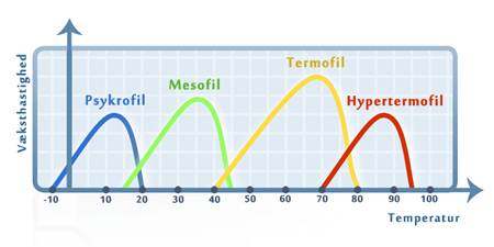 Forskellige typer af ekstremofile bakterier