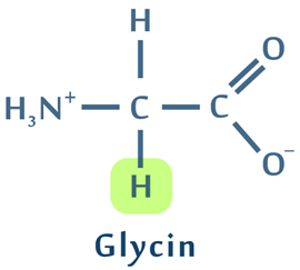 Glycin er en almindelig aminosyrer for ekstremofile bakterier da den laver en mere fast proteinstruktur.