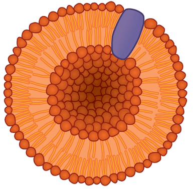 fig5_png