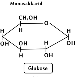 Glucose er et monosakkarid