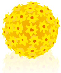 bjørnedyr æg opbygning