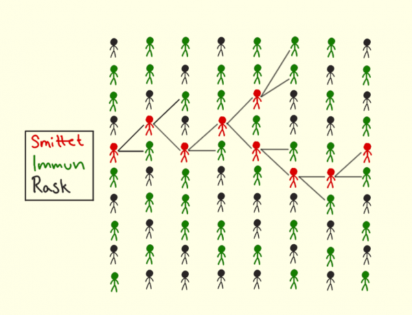 covid19_50_immun_spredning