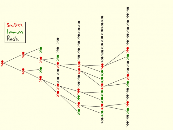 covid19_flokimmunitet