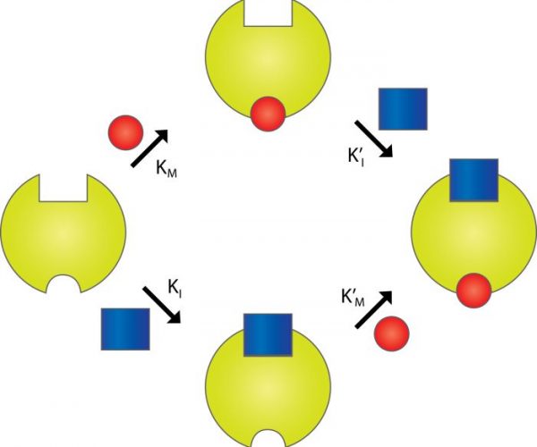 alkohol_nonkompetitiv_inhibering