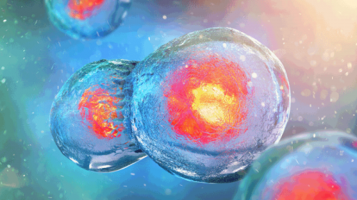 slider_grundskole_biostribe