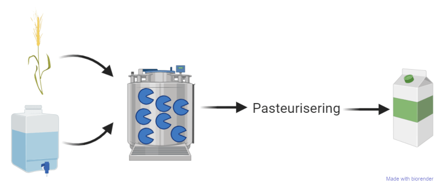 Fremstilling af havremælk