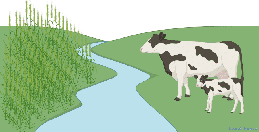 Fremtidens fødevarer