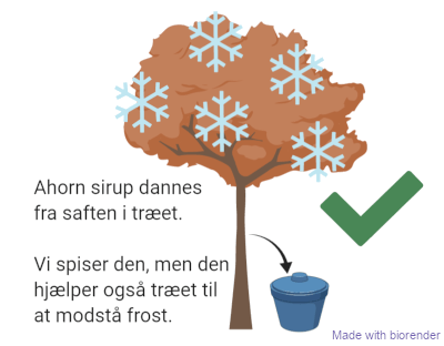 Kulderesistente planter