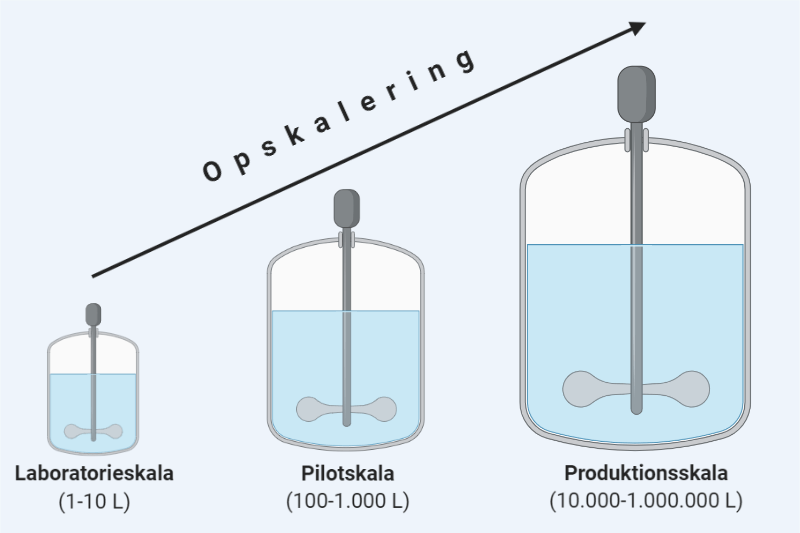 Intro_fig1_Opskalering Fermentering i forskellig skala: laboratorie, pilot og produktionsskala.