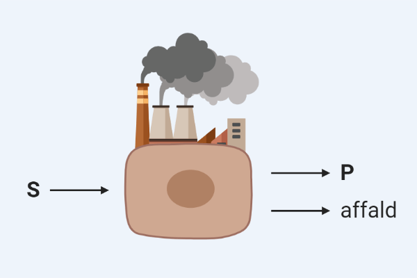 Fermentering laver produkt ud af substrat