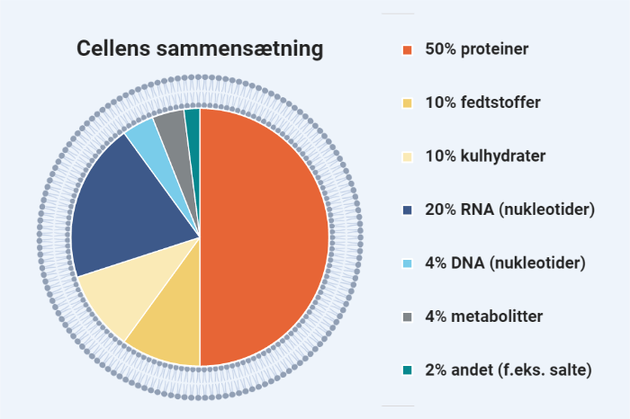 Cellens kemiske sammensætning