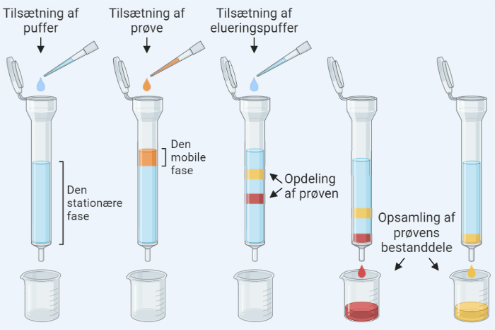 søjlekromatografi og fermentering