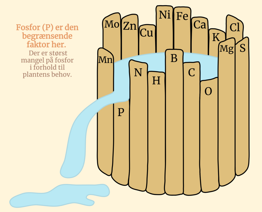 Minimumsloven illustreret som en tønde hvor hvert bræt er et grundstof planten har behov for. Korteste bræt er den begrænsende faktor for plantens vækst.