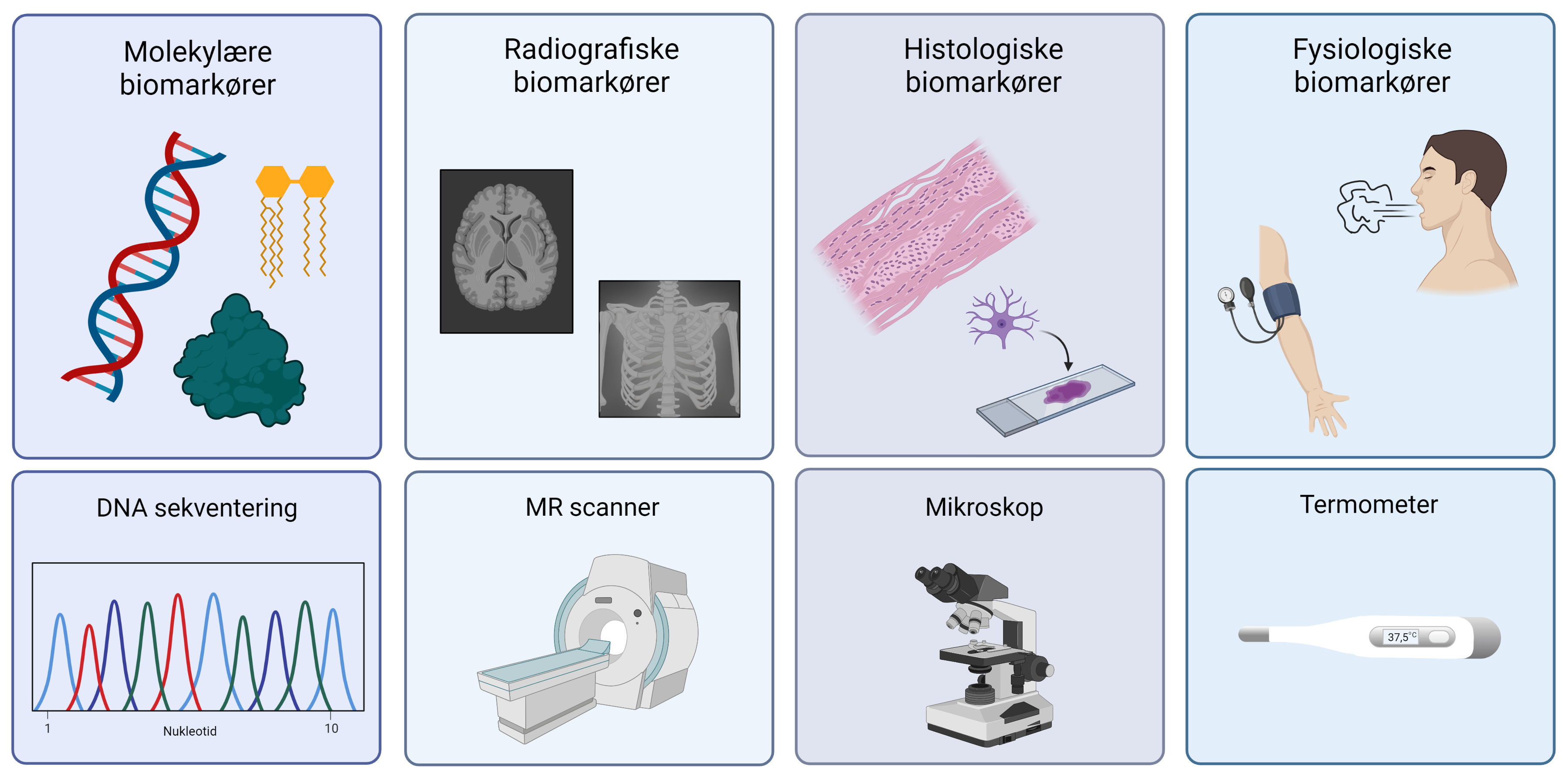 Biomarkører_Hvaderenbiomarkør_figur2_4slags