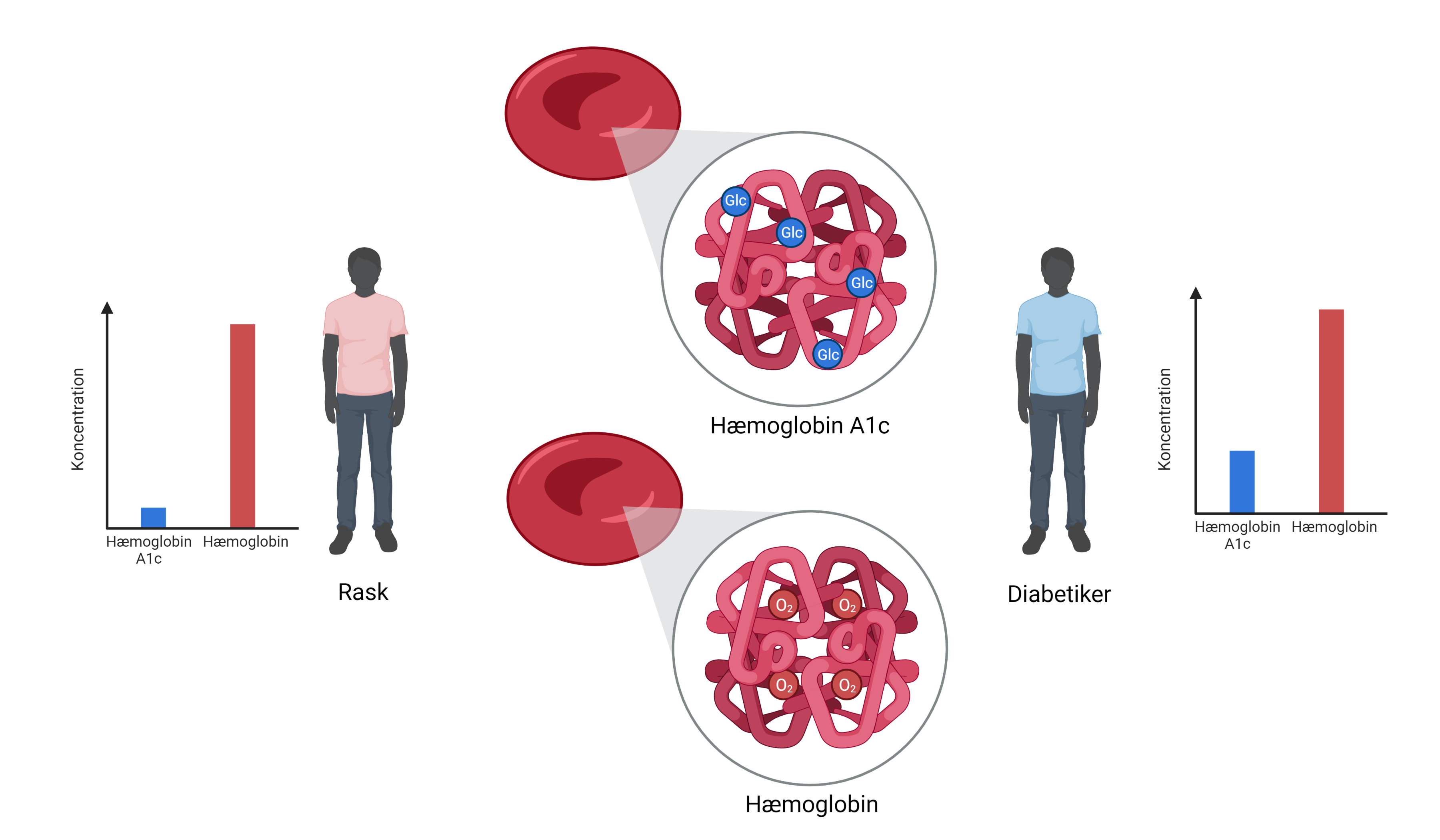 Biomarkører_Hvaderenbiomarkør_figur4_HæmoglobinA1c